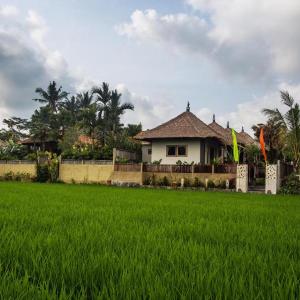 Ubud Luwih