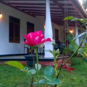 Danara Homestay