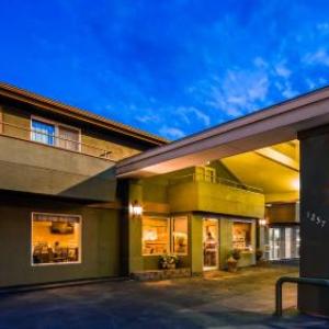 Hotels near Kibbie Dome - RiverTree Inn & Suites