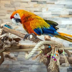 Middle Township Performing Arts Center Hotels - Mahalo Diamond Beach Resort