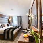 Hotels near Hyde Park - Park Grand Paddington Court