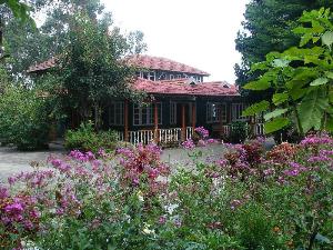 Lilly's Valley Resort, Kodaikanal