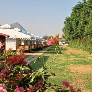 Royal Pushkar Camps