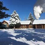 Grizzly Peak Cabin by AAA Red Lodge Rentals Red Lodge