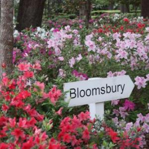 Bloomsbury Inn