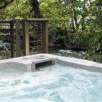 Creekside Rock Creek Jewel with Hot tub by AAA Red Lodge Rentals