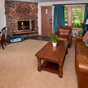 Lodge at Vail Dog Friendly C139