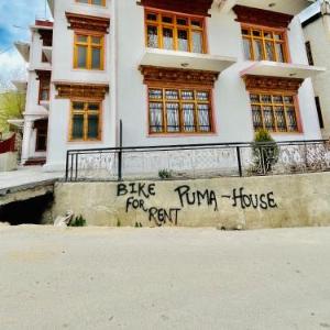 The Puma house