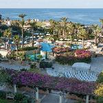 Resort in Paphos City 