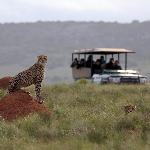 Bukela Game Lodge  Amakhala Game Reserve