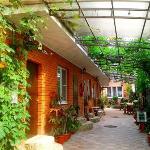 Katerina Guest House Anapa 