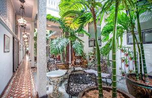 Areca Hotel Penang, Tanjung Bungah
