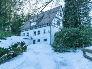 Quaint Holiday Home near Skiing Area in Neuastenberg, Winterberg