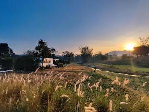 Loft Berry Resort, Ratchaburi