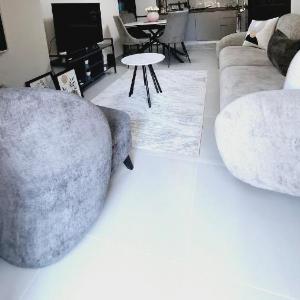 Asel apartment golem