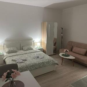 Apt 7- Sokobanjica apartmani