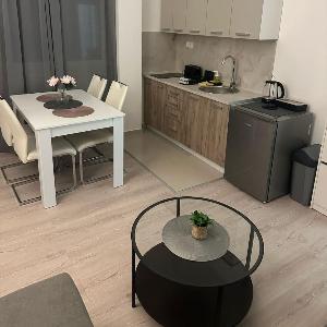 Apt 2- Sokobanjica apartmani