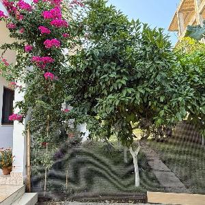 Guest House Tirana