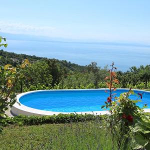 Apartment Dasa with pool by Villas Guide