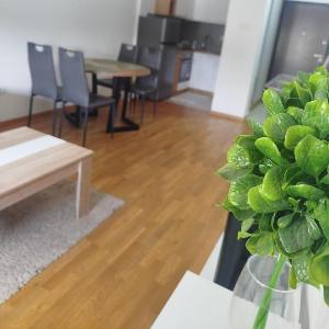 Apartman Tasha