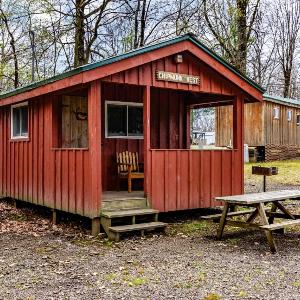 Cabin 1