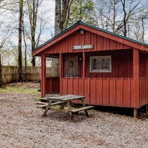 Cabin 4