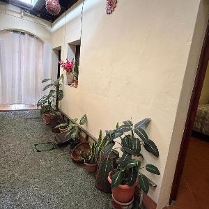 Casa Familiar Los Gringas