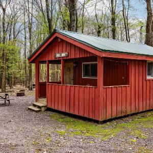 Cabin 2
