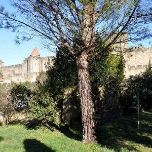Panorama by maison bacou