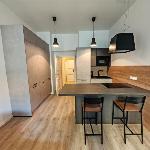 Apartment in Prague 