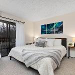 Timbers Studio 48 With Wintergreen Advantage Roseland Virginia