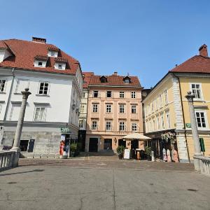 Riva Residence in Old Town Ljubljana by the Cobblers' Bridge