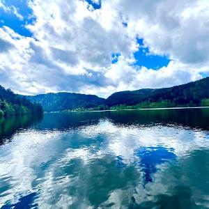 High-end flat in the centre of Gérardmer
