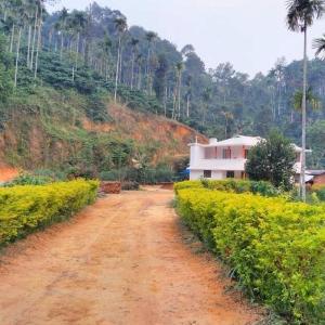 Lush Lagoon Homestay