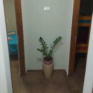 Departamento Rio Iguazú