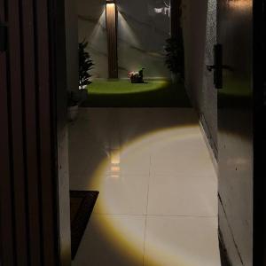 Elegant studio