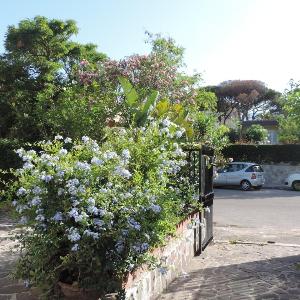 Villa Alex Relax E Mare