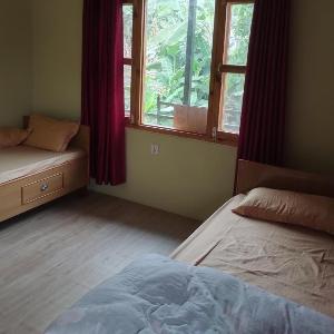 Baloo's Family homestay