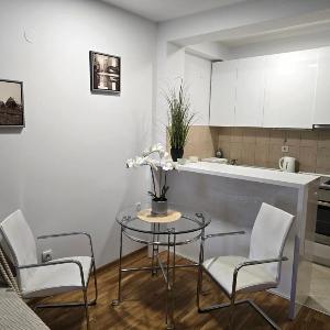 Slavia center apartment