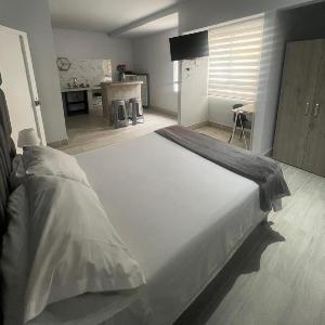 APARTAESTUDIOS INDEPENDIENTES CASA MIRAFLORES g