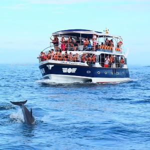 Whale Paradise Cruise Tours