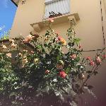 Villas in Lisbon 