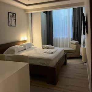 Sol Heart of Tirana Blloku studio