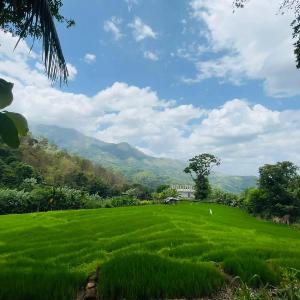 Wow Field Homestay