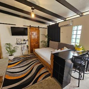 Comfy Carnival Rental