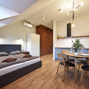 Domillion New modern Vilnius old town studio U2303