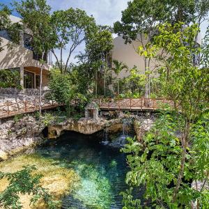 Amazing Luxury Studio with Cenote-