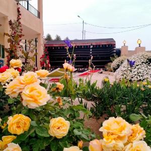 B&B petrafarmhouse
