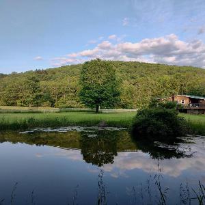 Fern Hollow Home