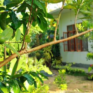 Villa Nature's Bounty